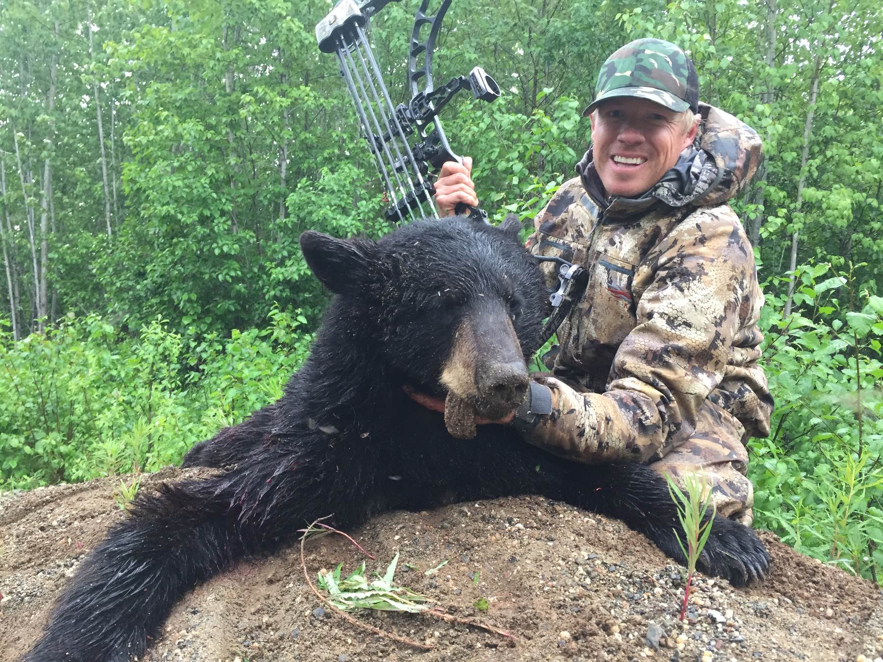 Archery black bear in the timber