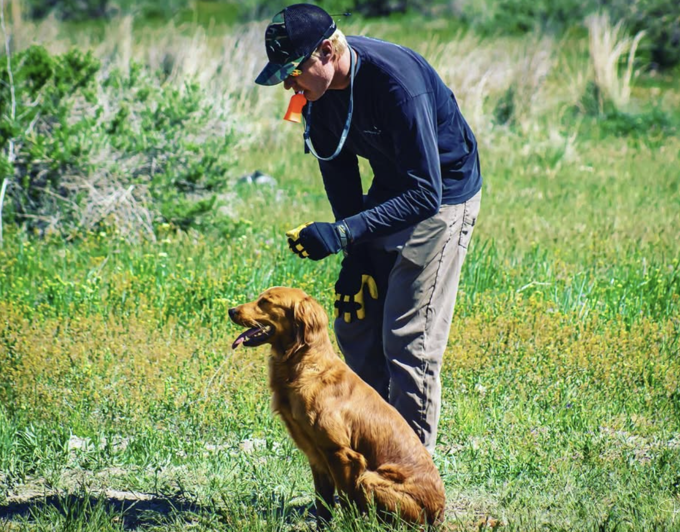 Episode 3 | Bird Dogs & Big Game