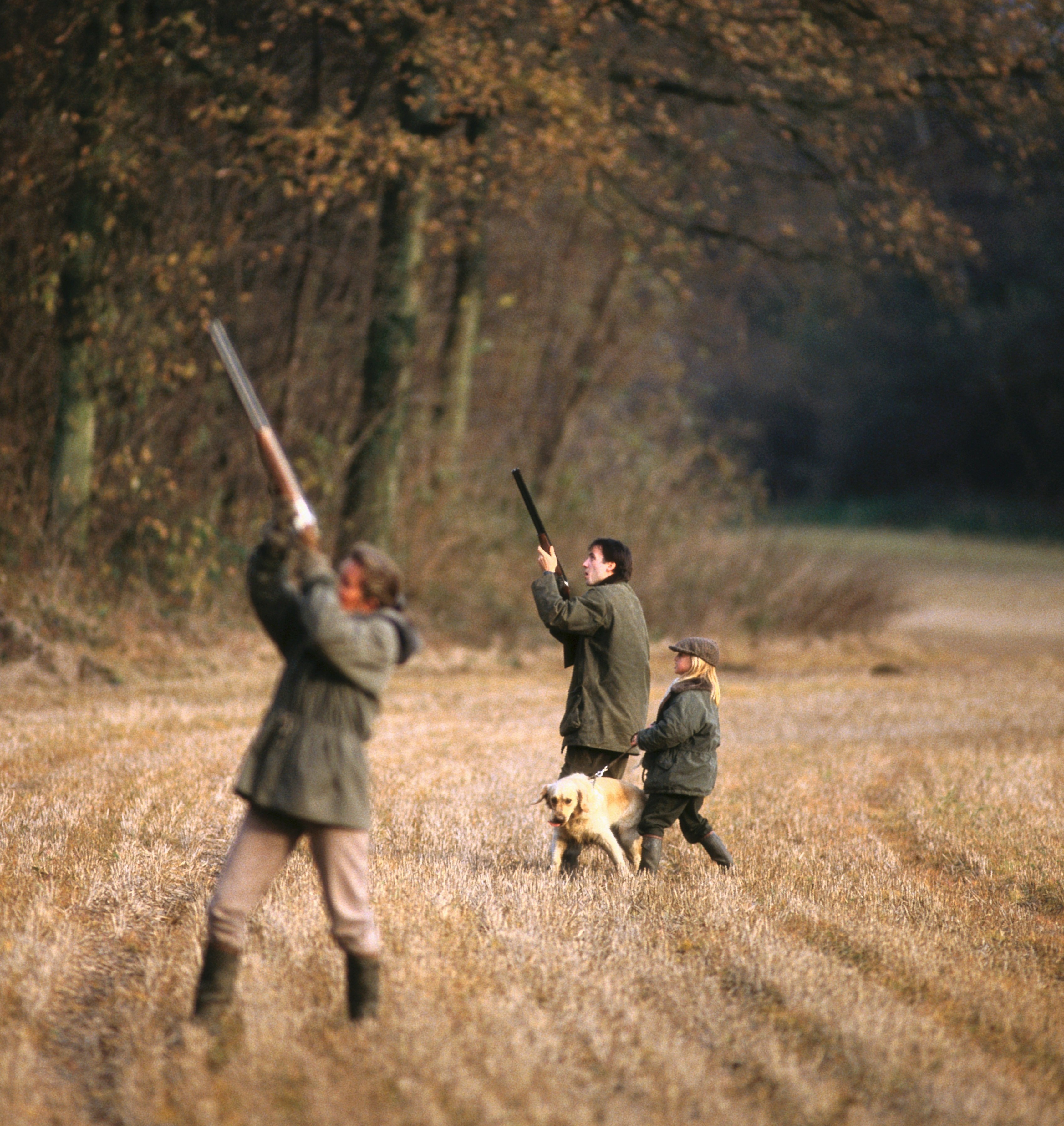 Dove Hunting and getting your dog ready for the hunt